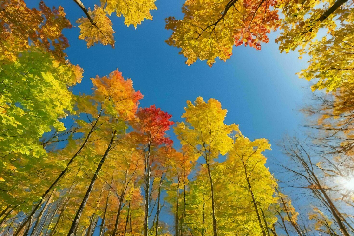 ai gerado colorida outono árvores debaixo Claro azul céu foto