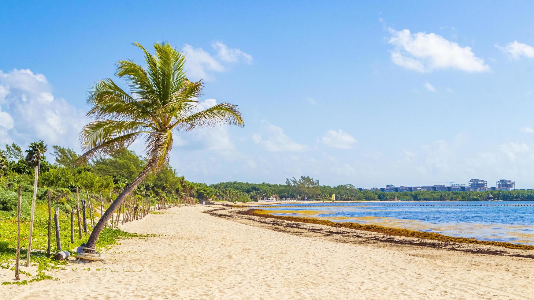 praia tropical mexicana com palmeiras playa del carmen méxico foto