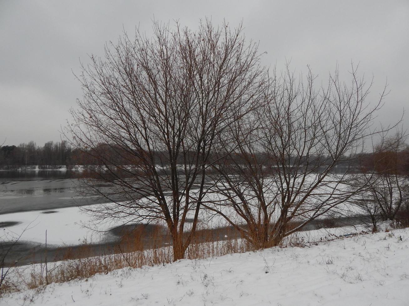 paisagem de inverno de neve branca e os objetos da paisagem foto