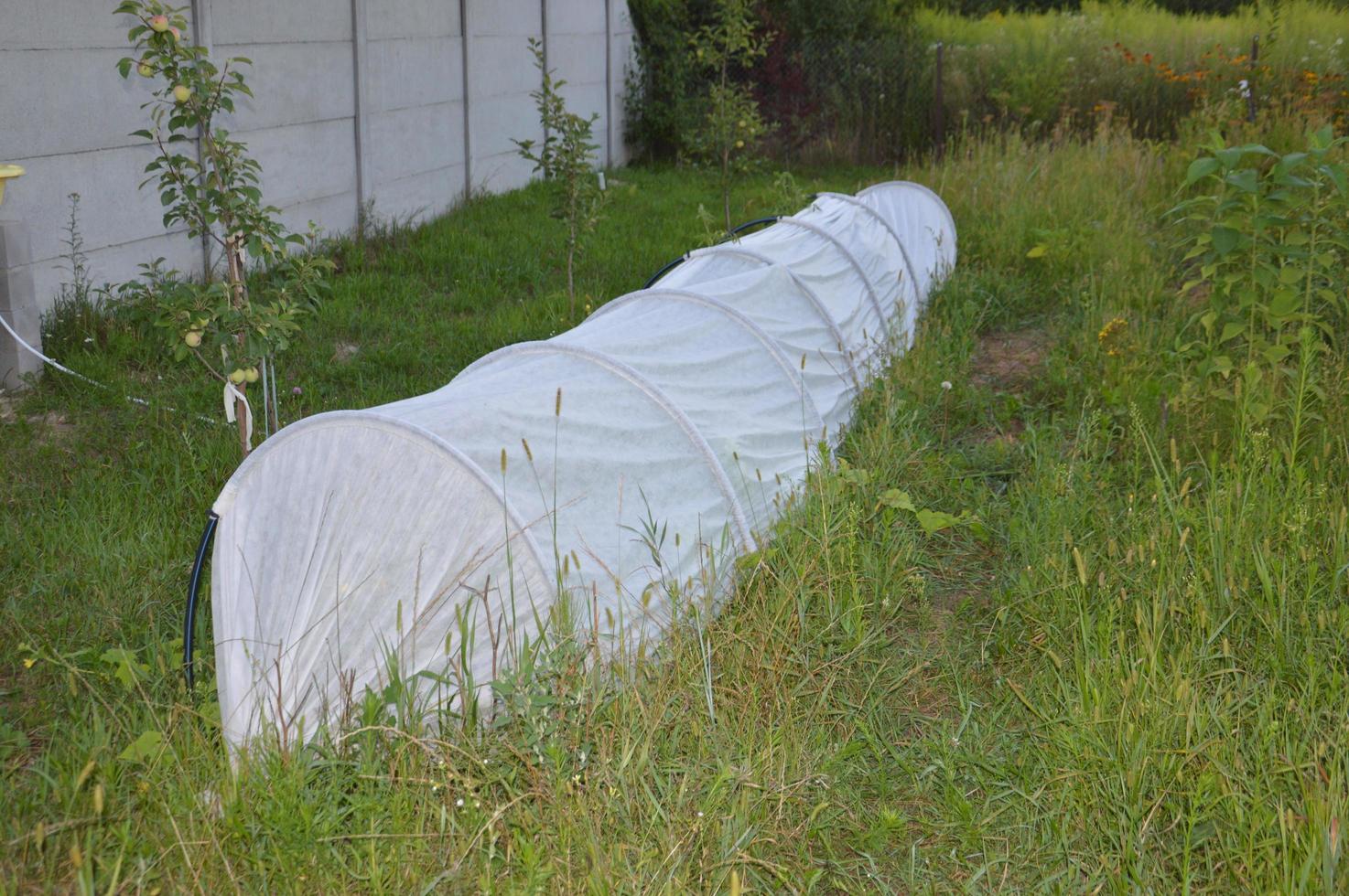 estufa branca coberta para o cultivo de vegetais foto