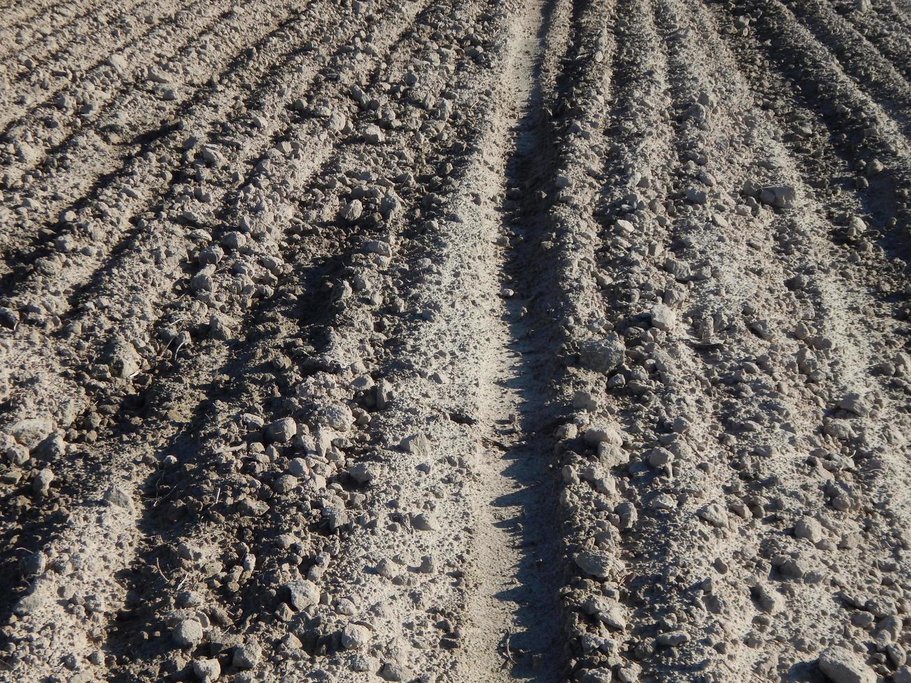 campo arado de trator e terra arável foto