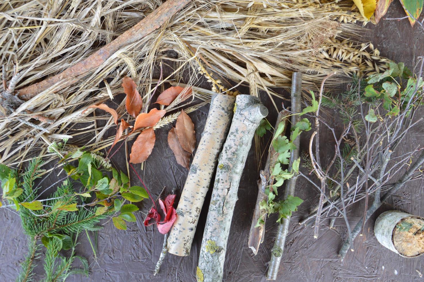 natureza morta de frutas e plantas da floresta foto