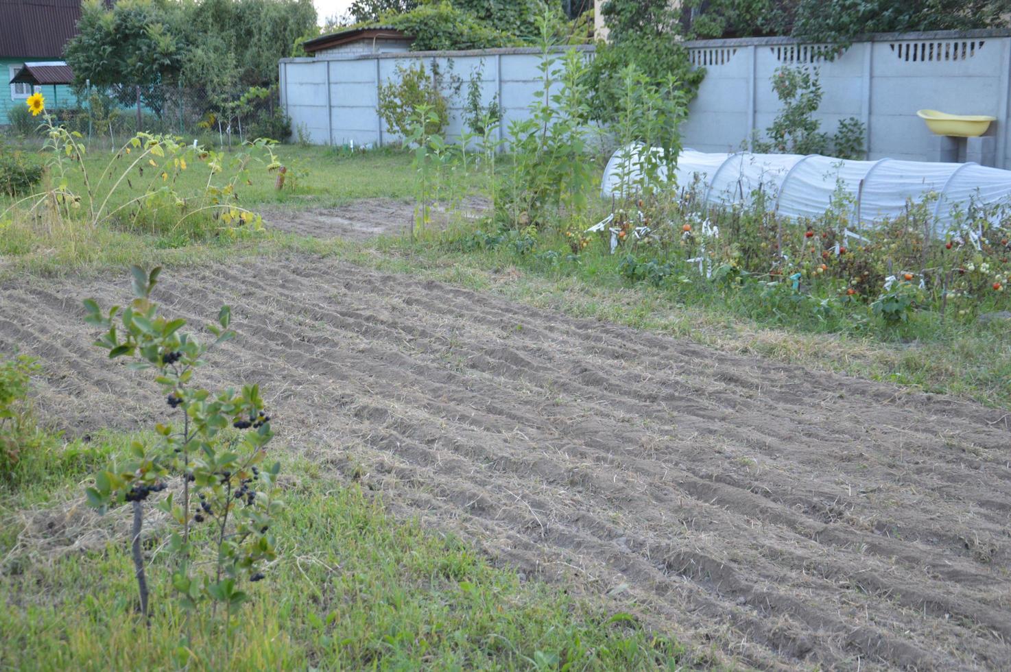 terra arável para o plantio de sideradas no jardim foto