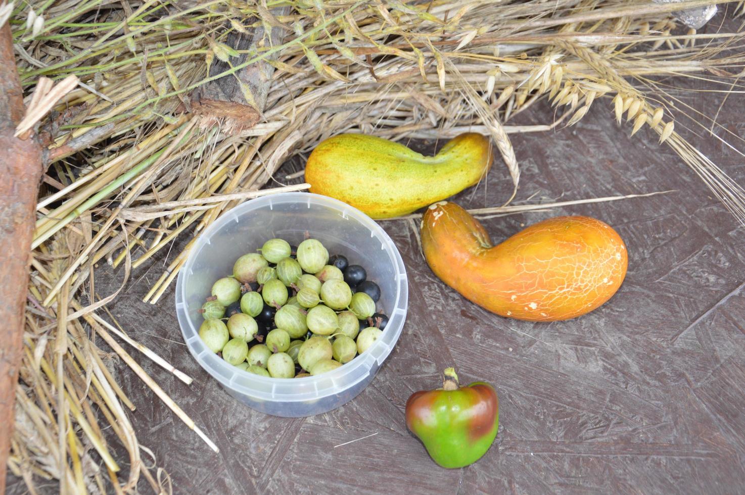 natureza morta de frutas e vegetais colhidos no jardim foto