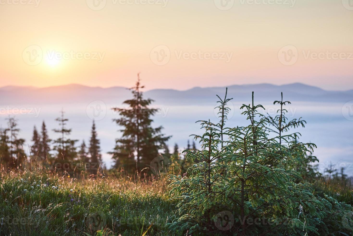 pôr do sol na paisagem de montanhas. céu dramático. cárpato da ucrânia europa foto