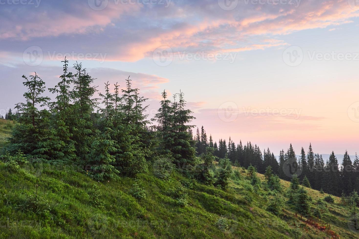 viagens, caminhadas. paisagem de verão - montanhas, grama verde, árvores e céu azul foto
