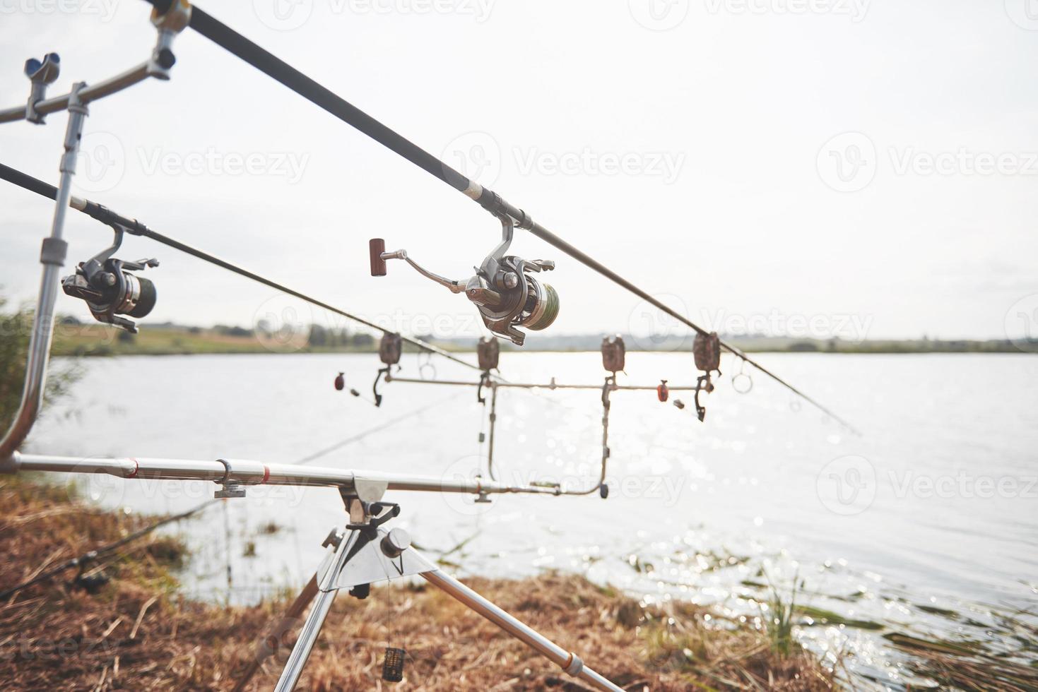 varas de pesca da carpa em tripés especiais. bobinas caras e um sistema de rádio de crochê foto