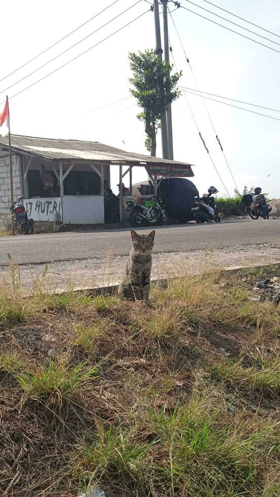 As fotos do lindo natural cenário