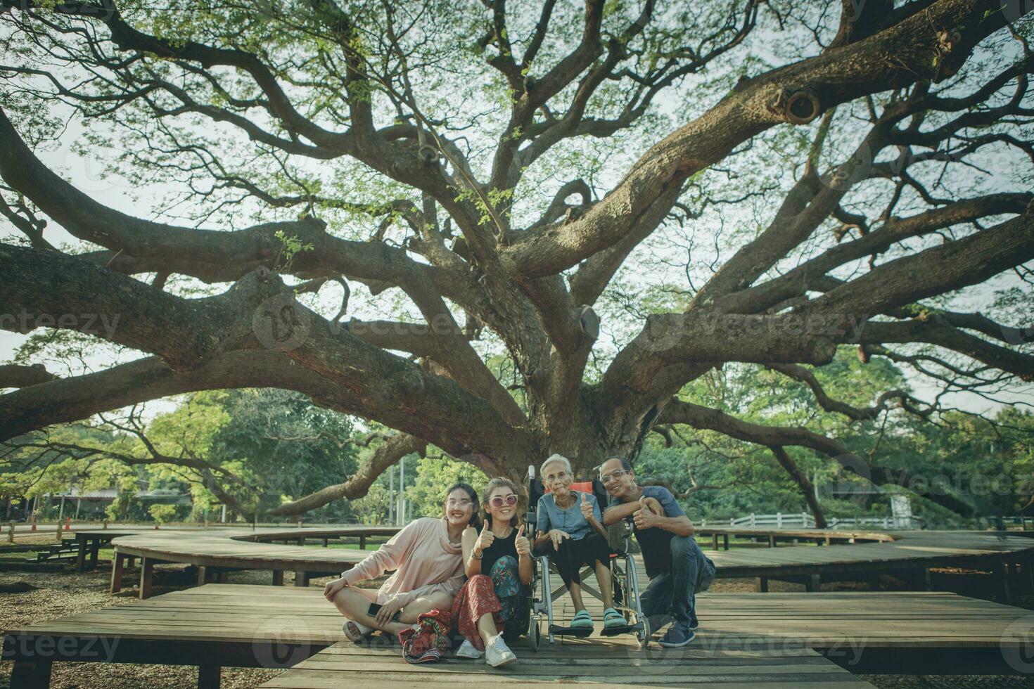 felicidade ásia família sentado debaixo grande árvore de chuva foto