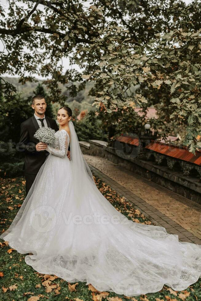 clássico comprimento total retrato do a noiva e noivo dentro a parque entre vegetação e carvalho folhas, elegante vestir com uma grandes trem. livre espaço foto