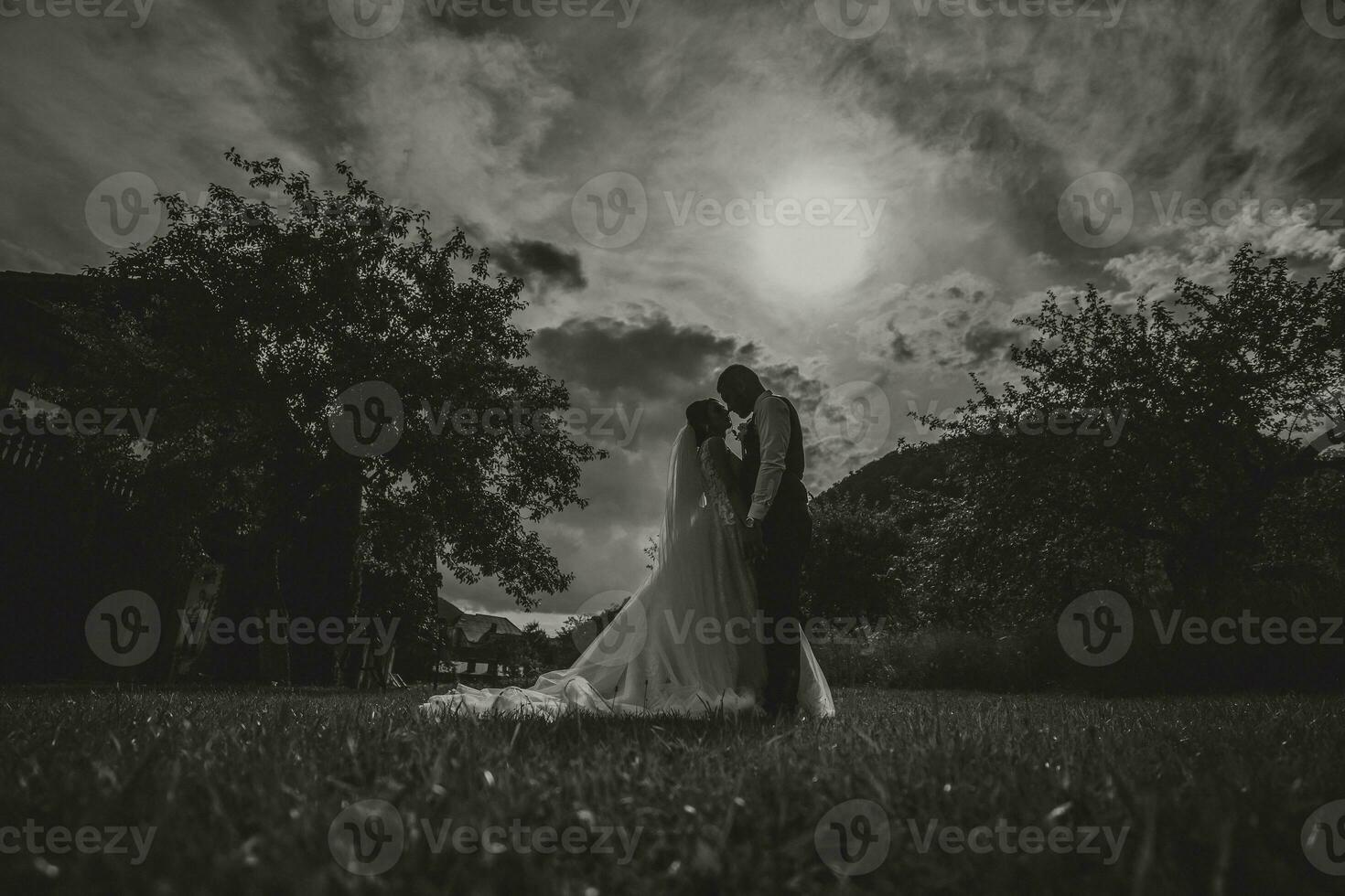 uma lindo casamento, uma lindo casal dentro amor, rindo e se beijando contra a fundo do uma verde jardim. Alto qualidade foto. Preto e branco foto