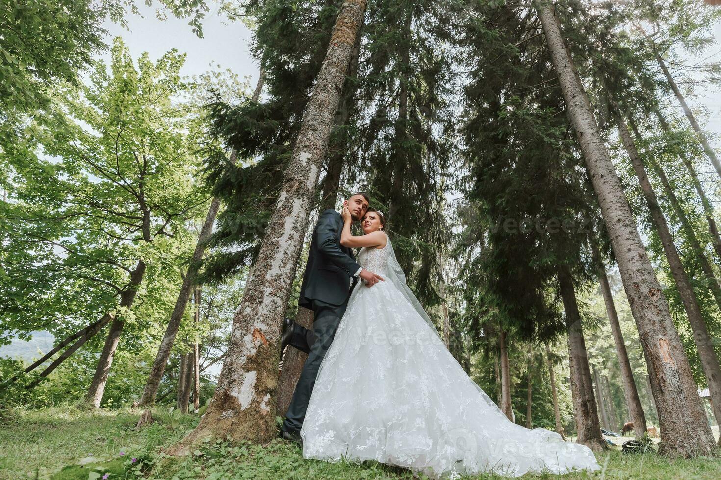 uma Casamento casal é desfrutando a melhor dia do seus vidas contra a pano de fundo do alta árvores retrato do noivas dentro amor dentro natureza foto