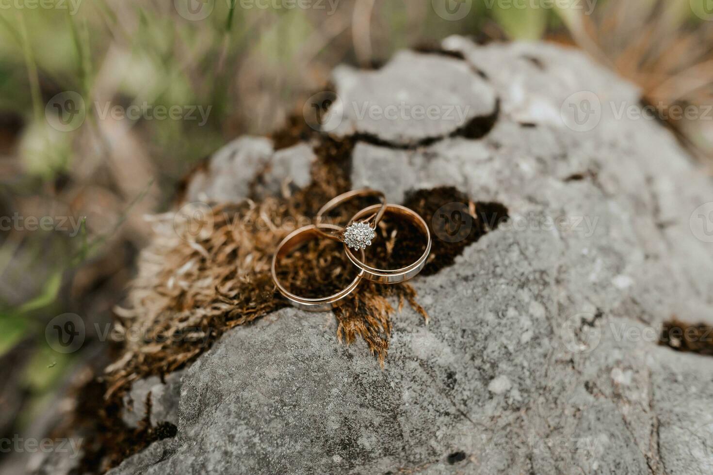 ouro clássico Casamento argolas em uma fundo do uma ampla pedra e Castanho musgo dentro uma floresta ou parque foto