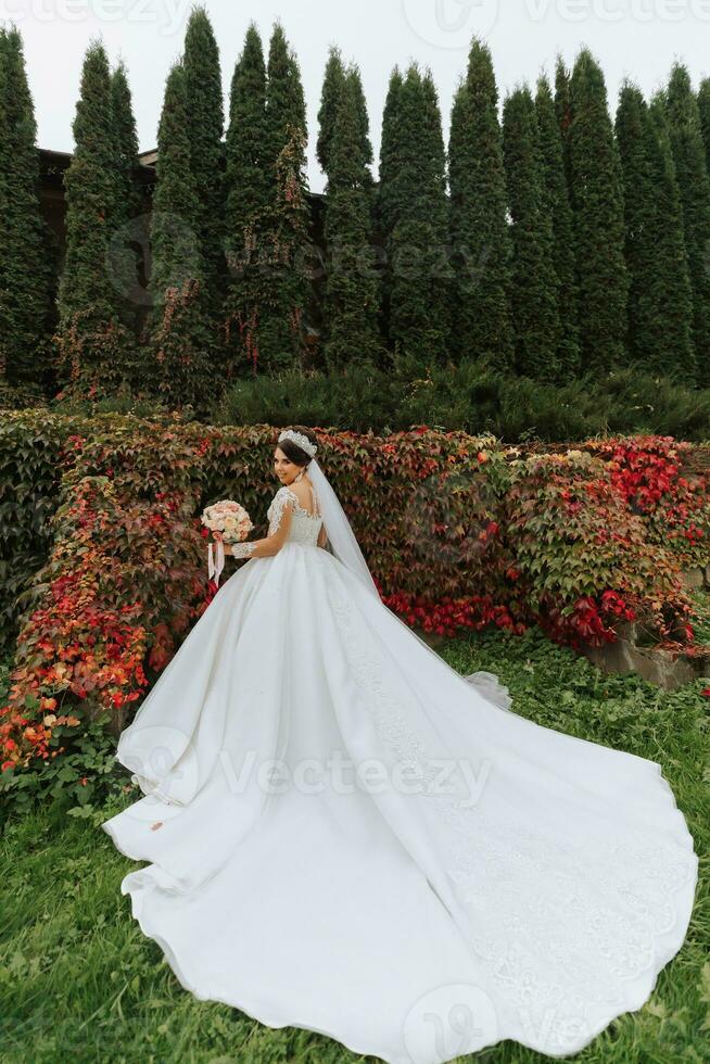 lindo noiva contra a fundo do outono folhas e alta árvores ângulo amplo foto do a noiva dentro uma vestir com uma grandes trem