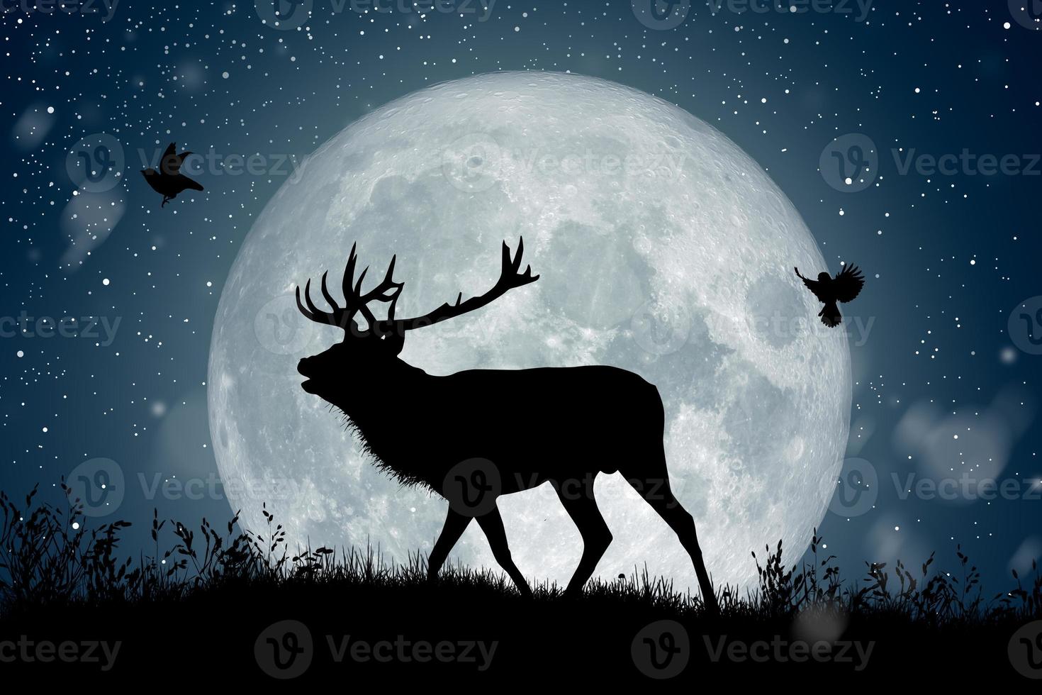 silhueta de renas em pé na colina sob a lua cheia à noite de Natal, enquanto dois pássaros voando ao redor. foto