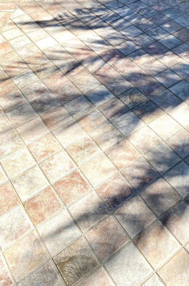sombra de palmeira no chão de ladrilhos foto