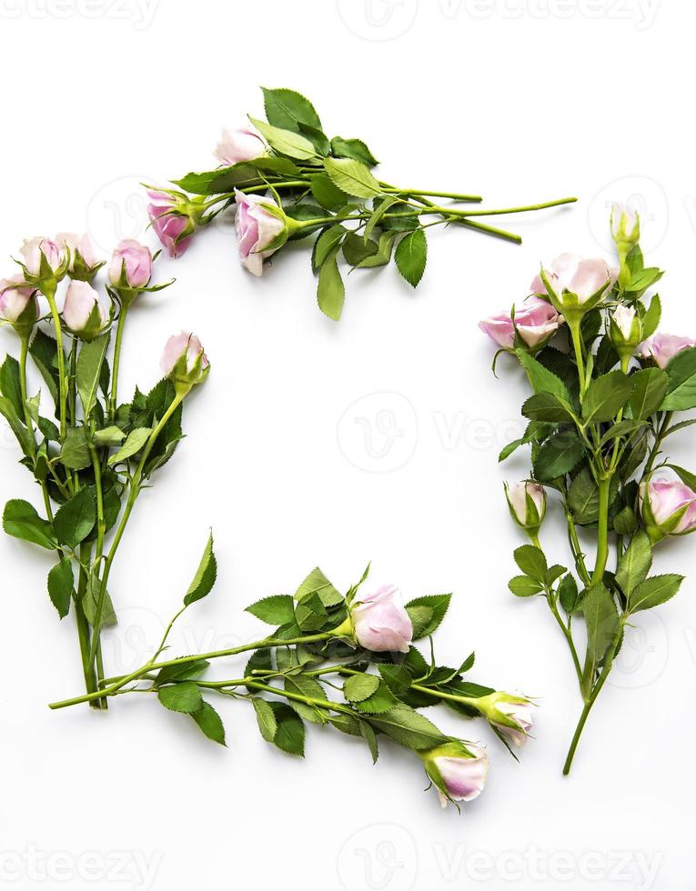 borda floral com espaço em branco foto