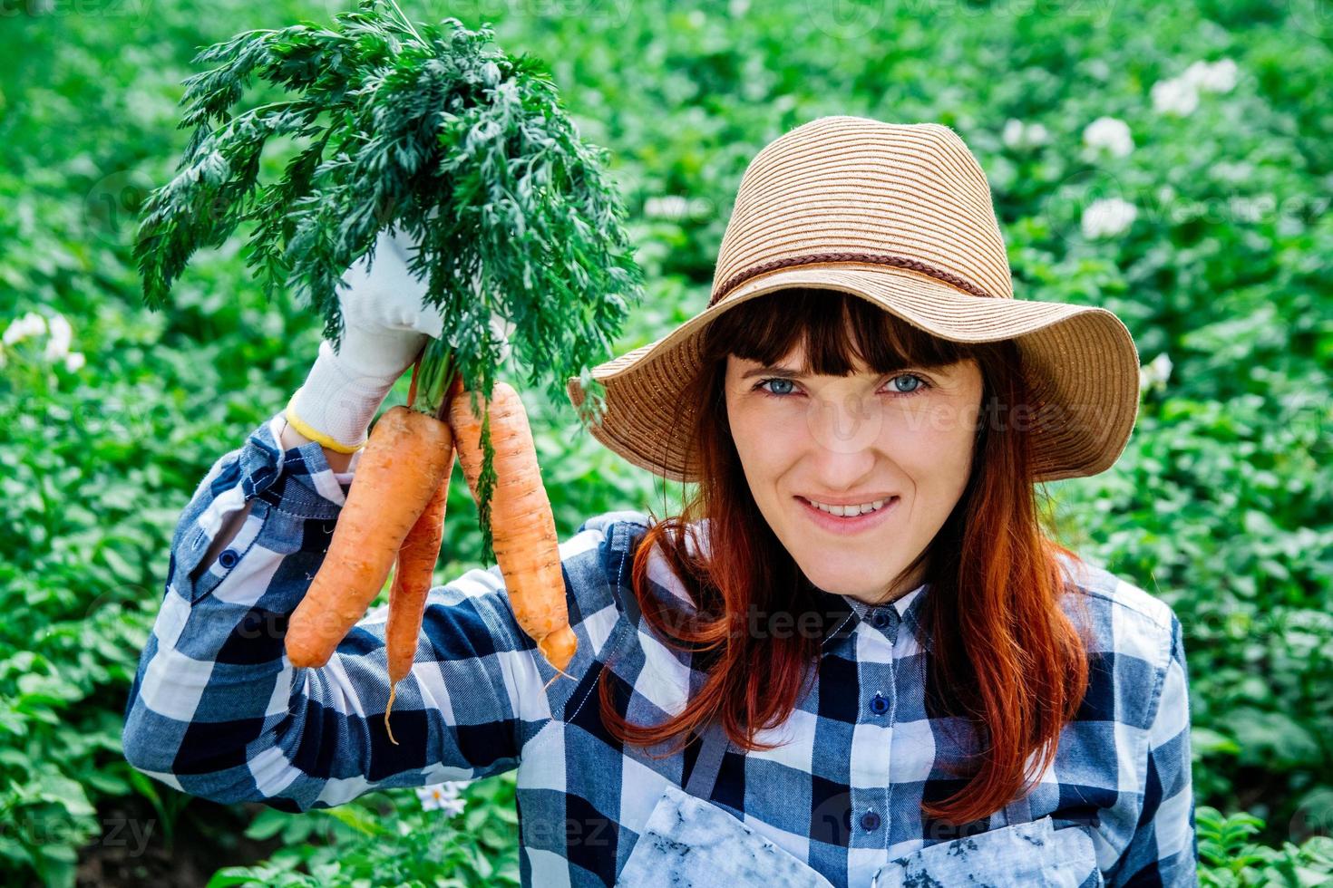 agricultora segura um monte de cenouras em sua horta foto