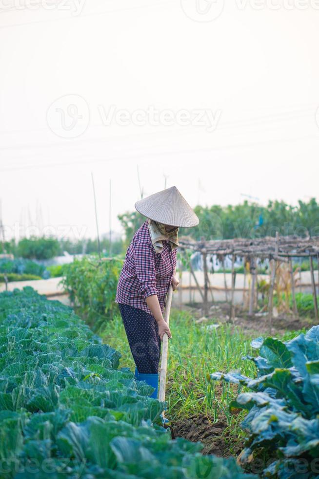 mulher agricultora asiática capinando o solo foto