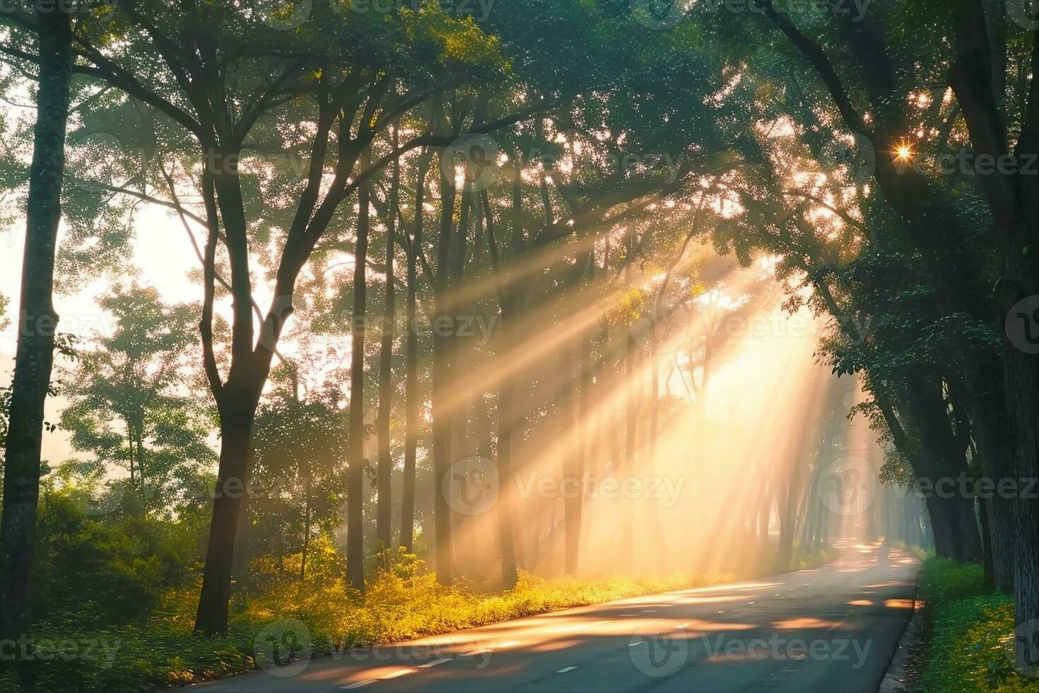 ai gerado luz solar através árvores generativo ai. foto