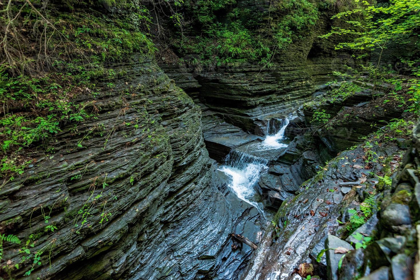 Parque Estadual Watkins Glen foto