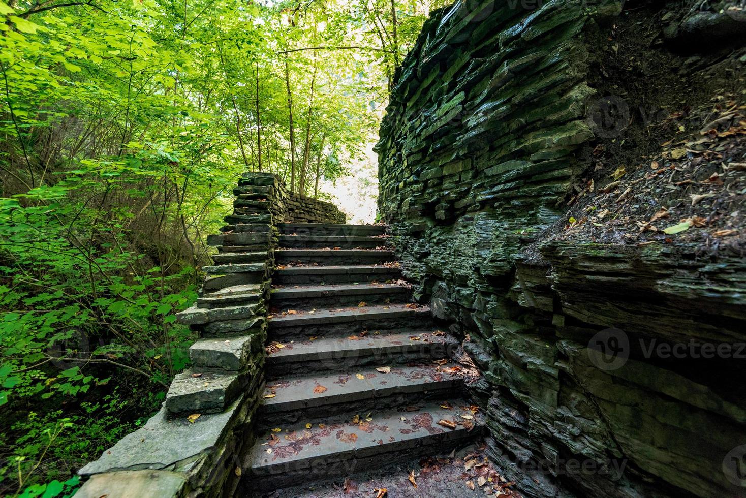 Parque Estadual Watkins Glen foto