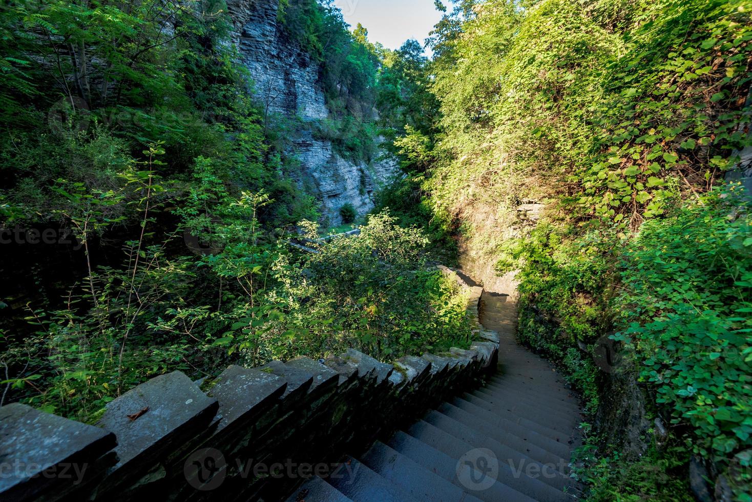 Parque Estadual Watkins Glen foto