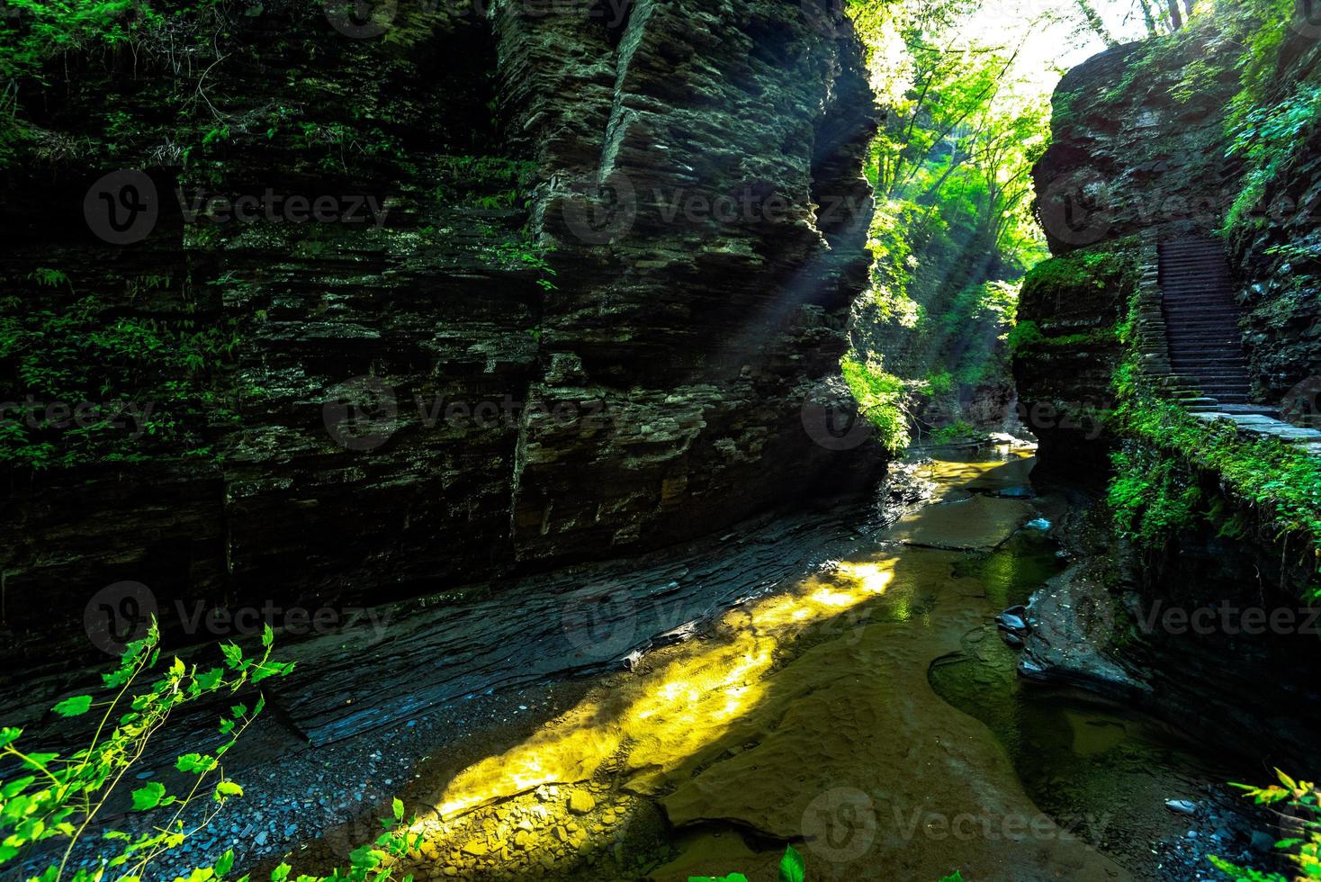 Parque Estadual Watkins Glen foto