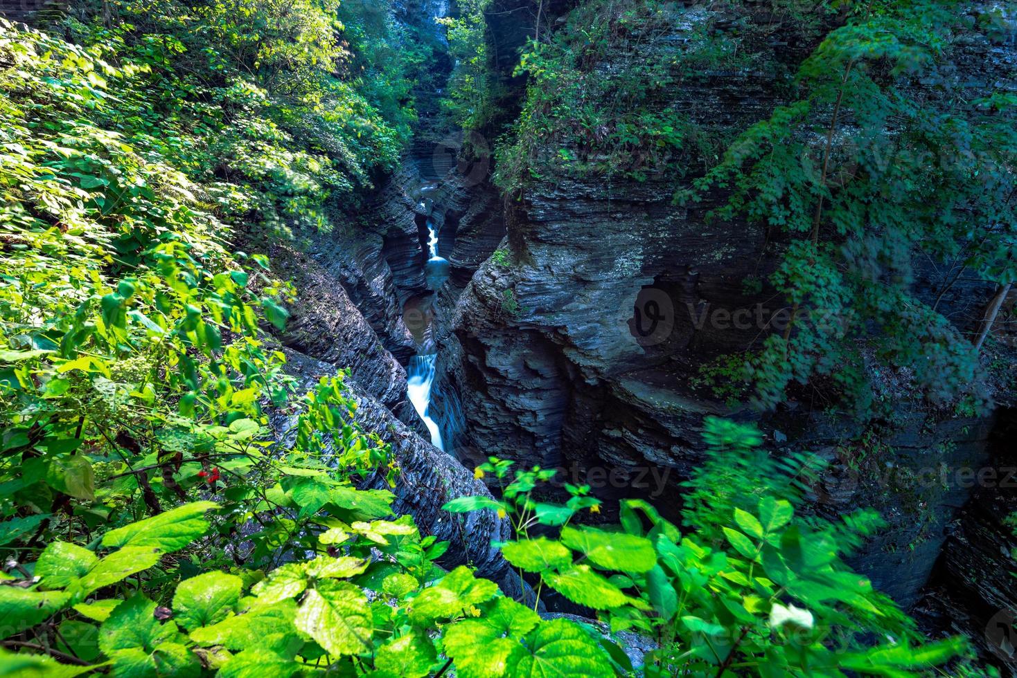 Parque Estadual Watkins Glen foto