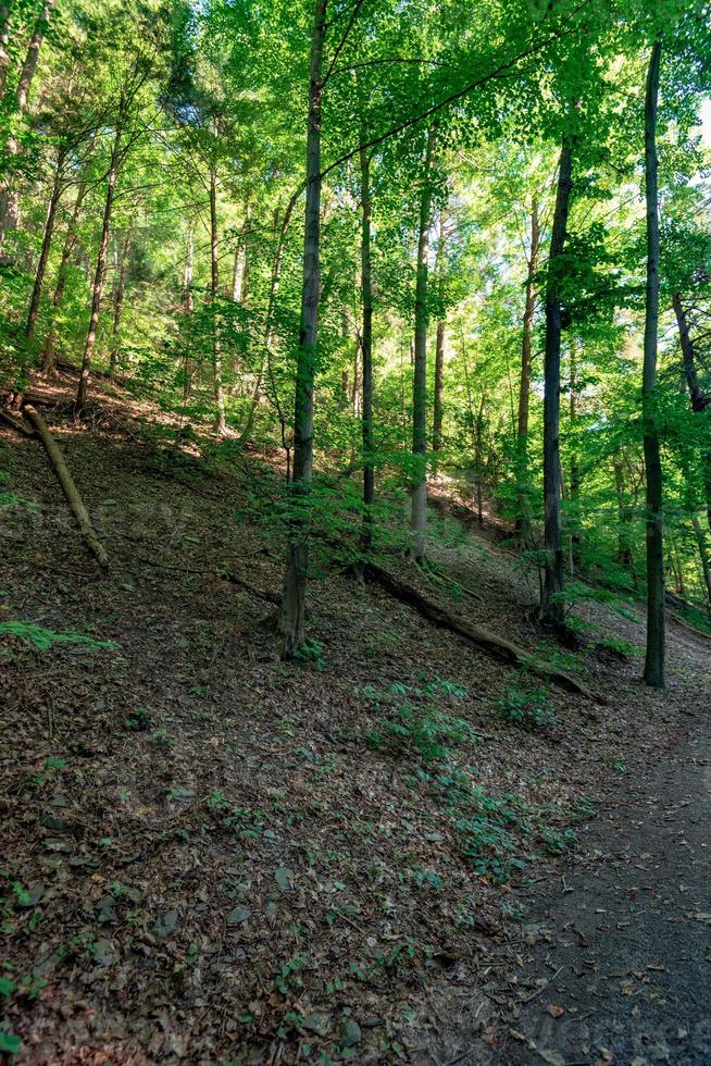 cachoeiras taughannock - trilha do desfiladeiro foto