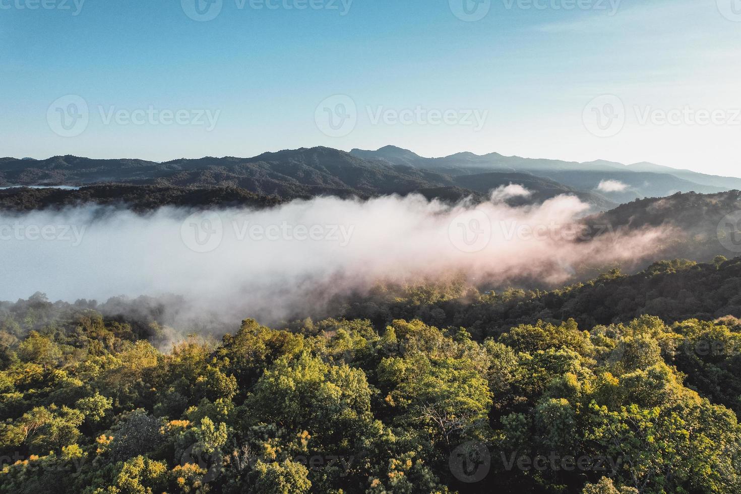 nevoeiro matinal na floresta vindo de cima foto