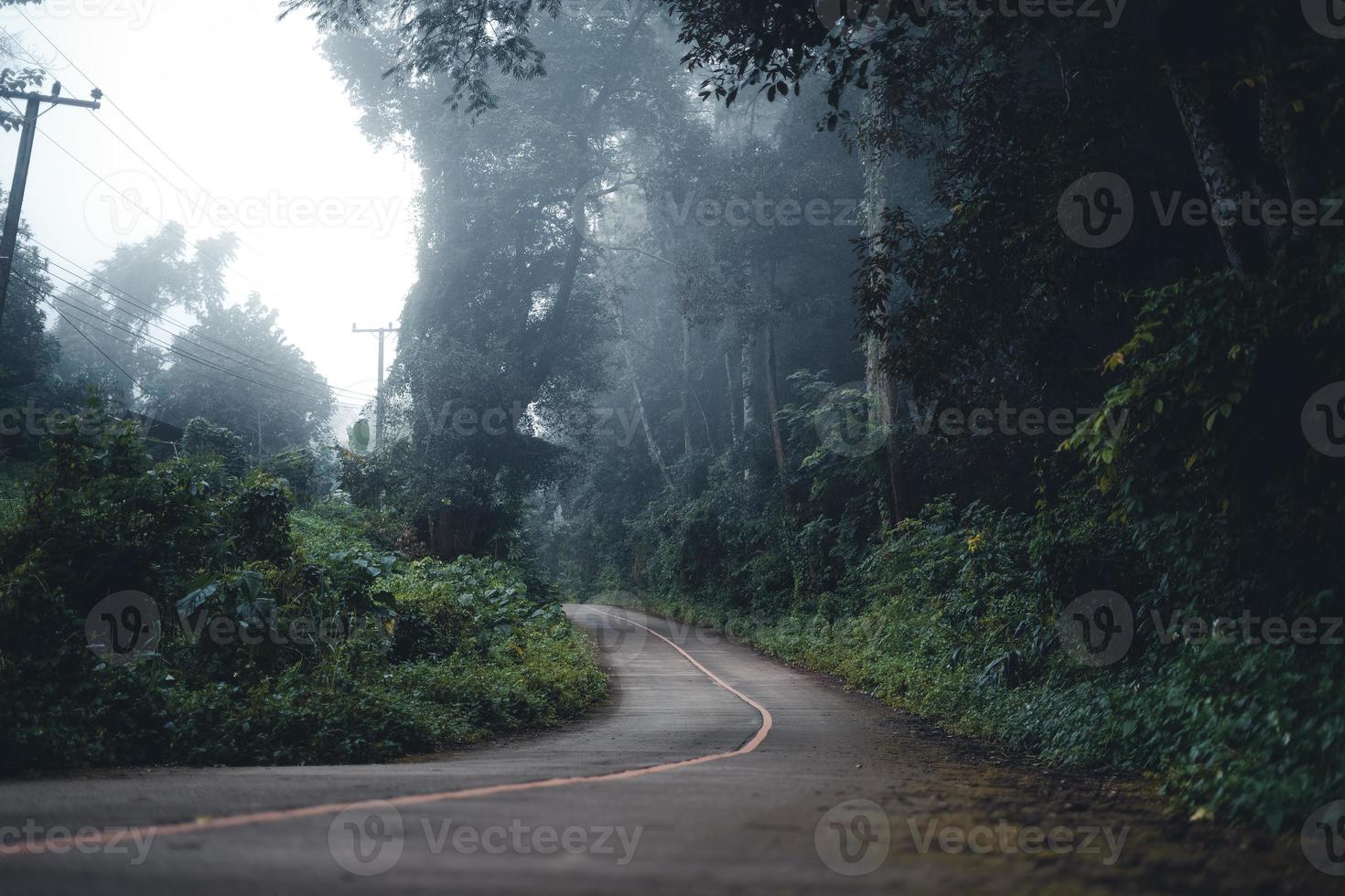 a estrada para a floresta estava enevoada pela manhã. foto