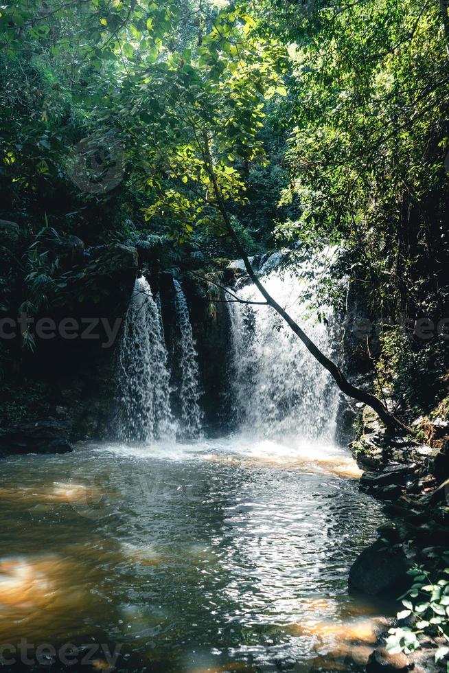 cachoeira em uma floresta tropical durante o dia foto