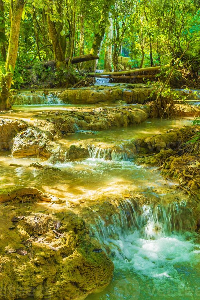 mundos mais belas cachoeiras kuang si cachoeira luang prabang laos. foto