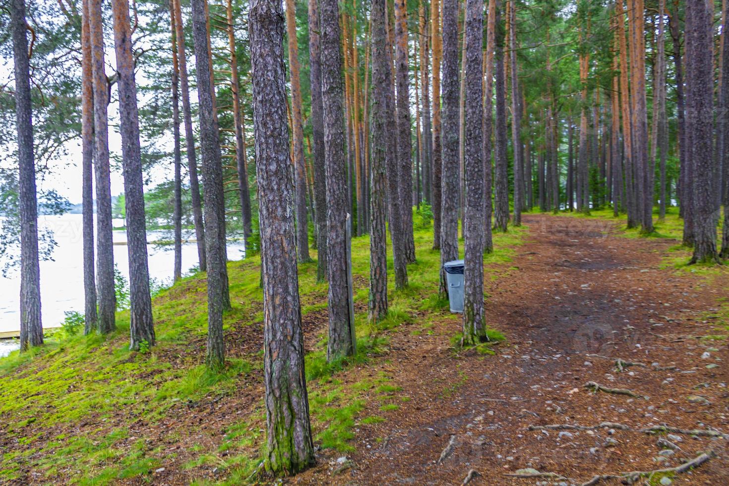 natureza da ilha de vesleoye na cidade fagernes fylke innlandet noruega. foto