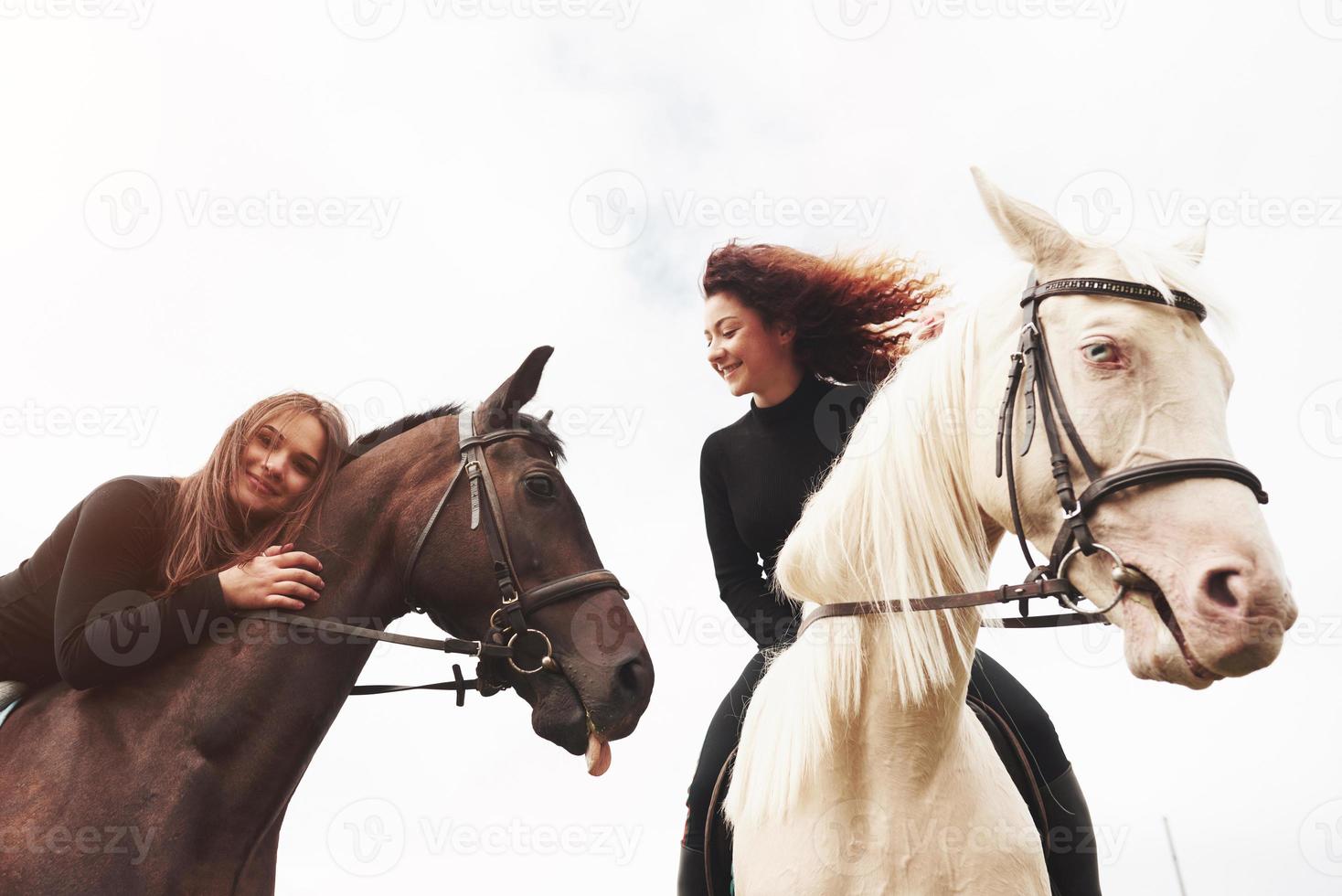 duas meninas bonitas montando um cavalo em um campo. eles amam animais e passeios a cavalo foto