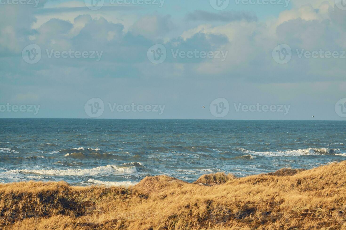 litoral às a dinamarquês oeste costa foto