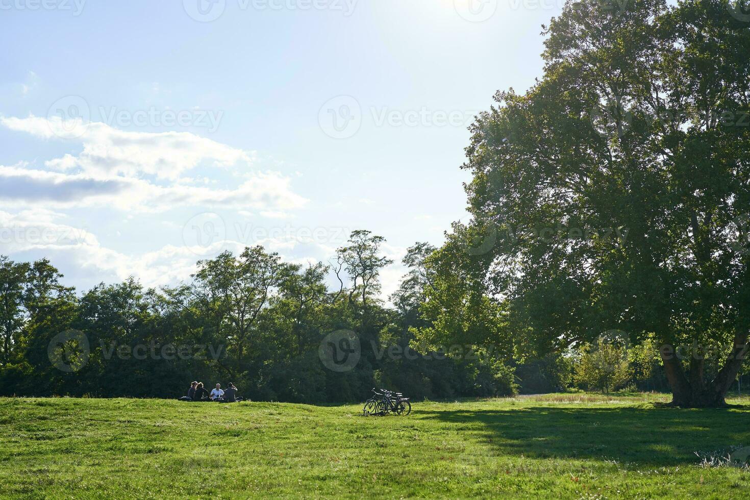 ensolarado dia dentro parque. panorama do verde Relva e dois bicicletas em pé perto árvore, raios solares iluminação acima a cena foto