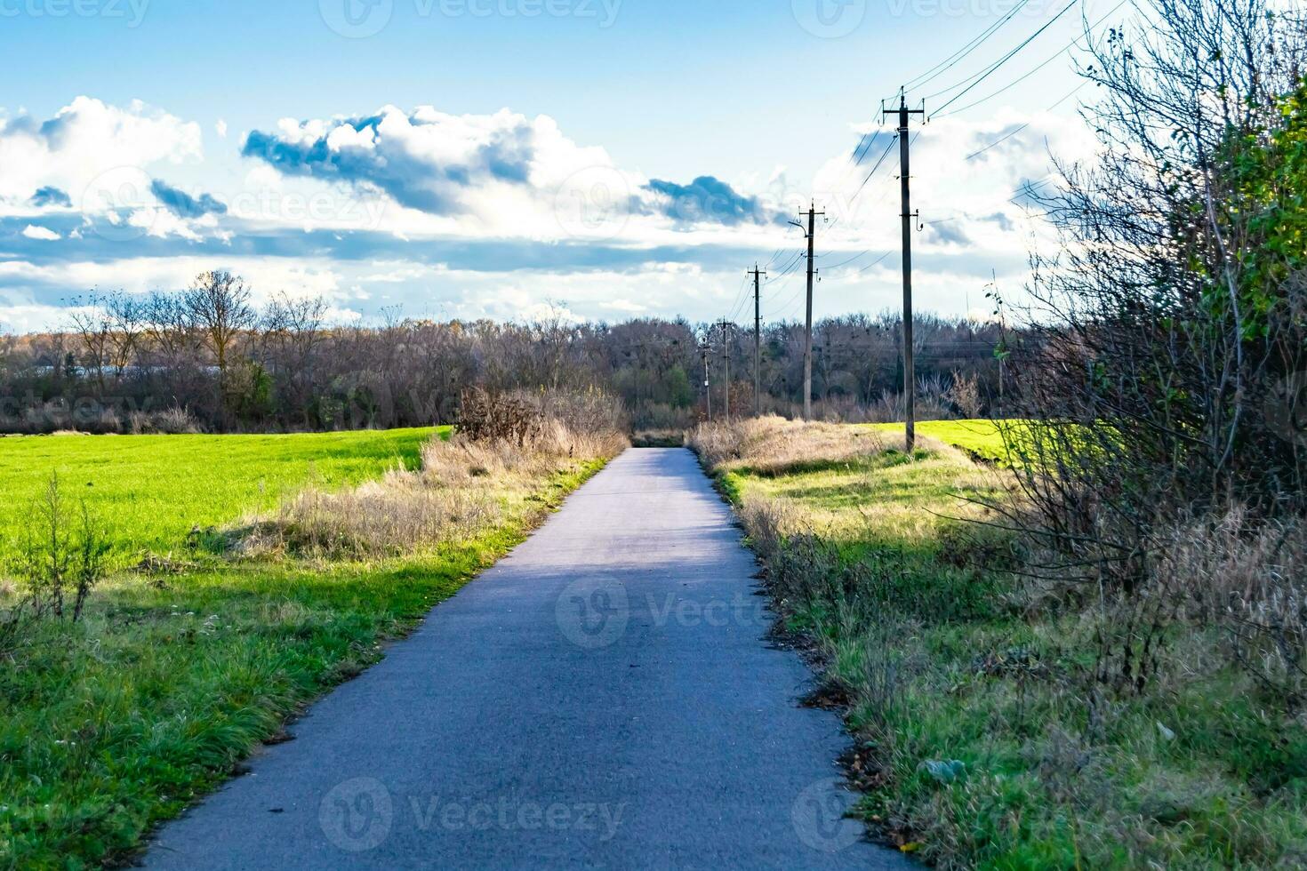 bela estrada de asfalto vazia na zona rural em fundo colorido foto