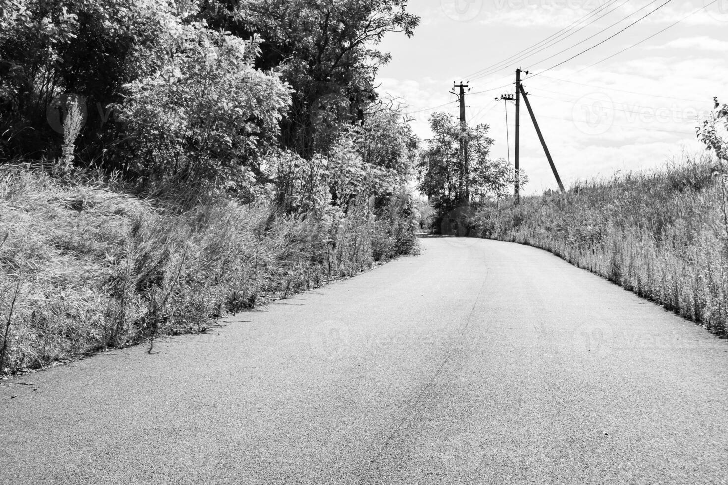 lindo esvaziar asfalto estrada dentro campo em luz fundo foto