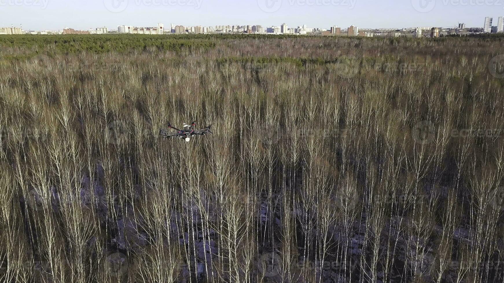 uav não tripulado aéreo veículo zangão subindo dentro a céu acima murcha floresta e cidade em a fundo. grampo. pesado lift zangão fotografando cidade e árvores foto