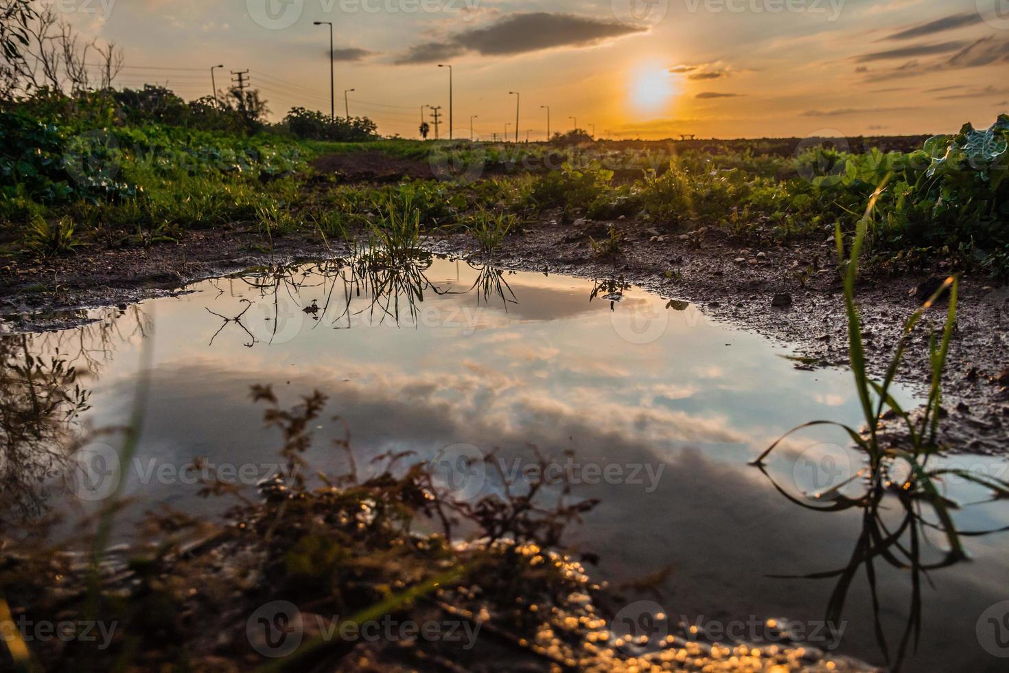 céu refletido em uma poça d'água em um campo ao pôr do sol foto