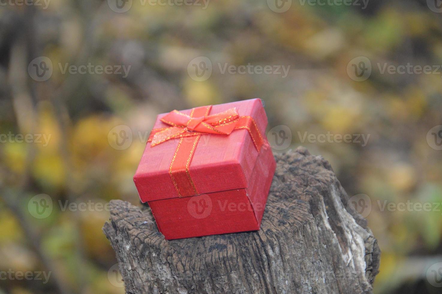 pequena caixa de presente vermelha na floresta foto