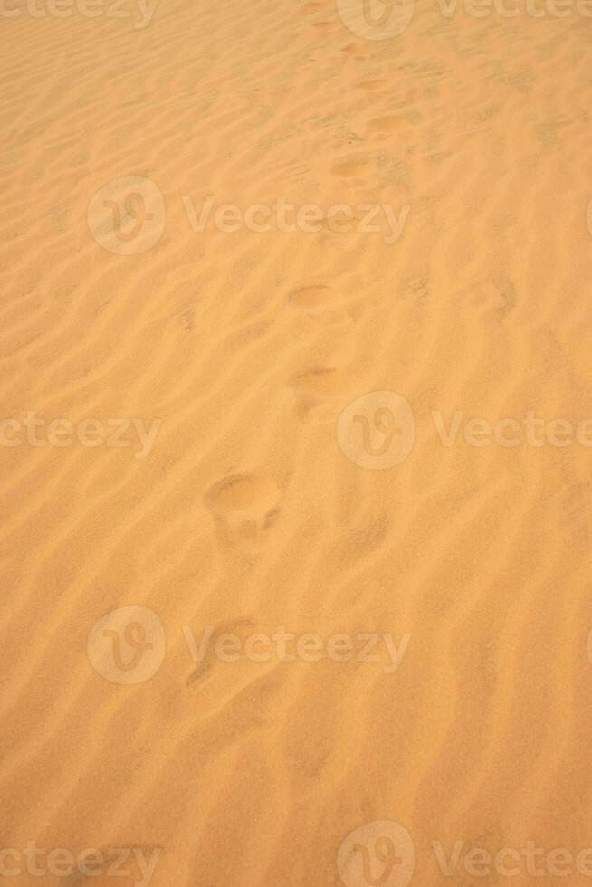 velho pegadas dentro a areia dentro a deserto. foto