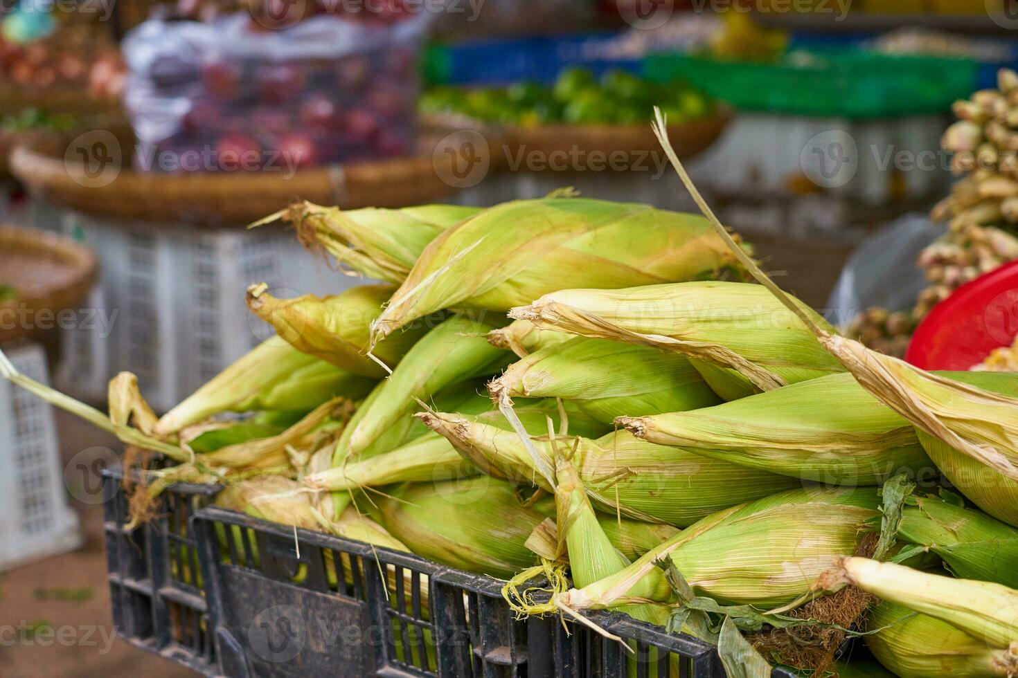 milho espigas em a mercado dentro Vietnã. foto