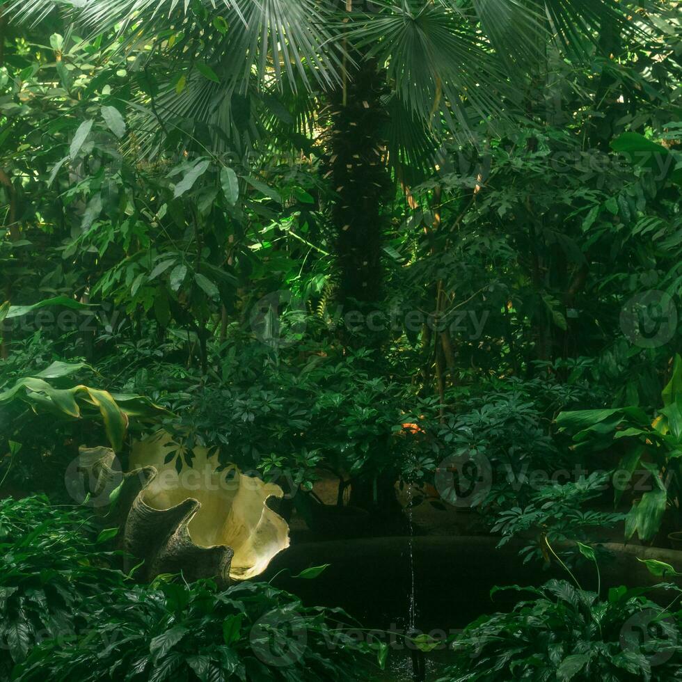 interior do uma ampla tropical estufa com uma decorativo piscina e uma tridacna Concha foto