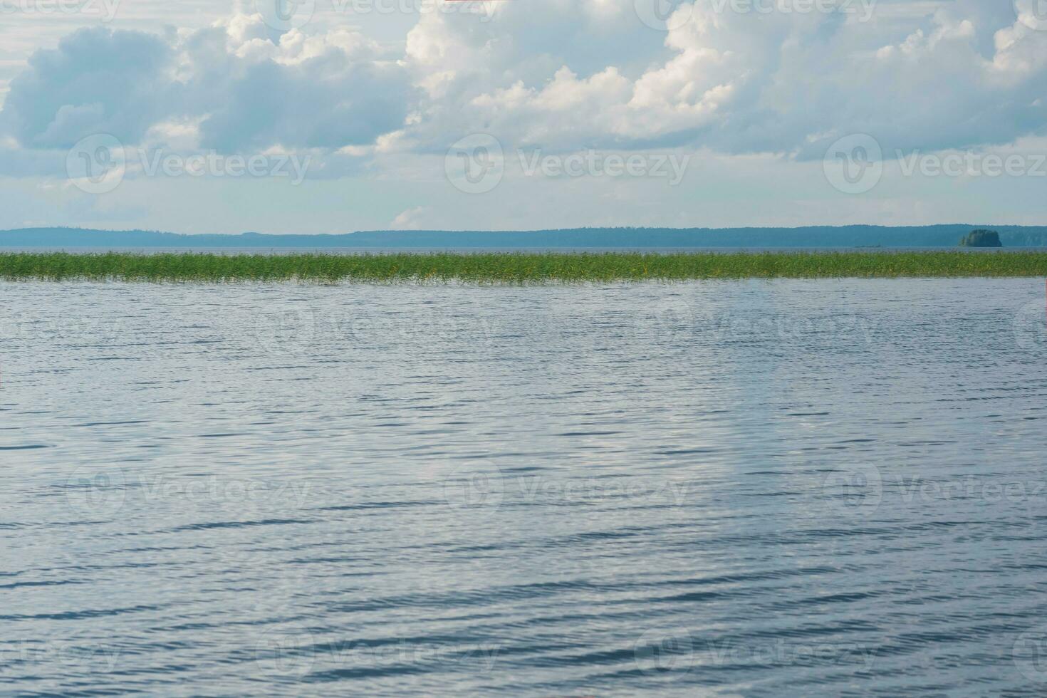 natural paisagem, grande raso lago com cana bancos em uma nublado dia foto