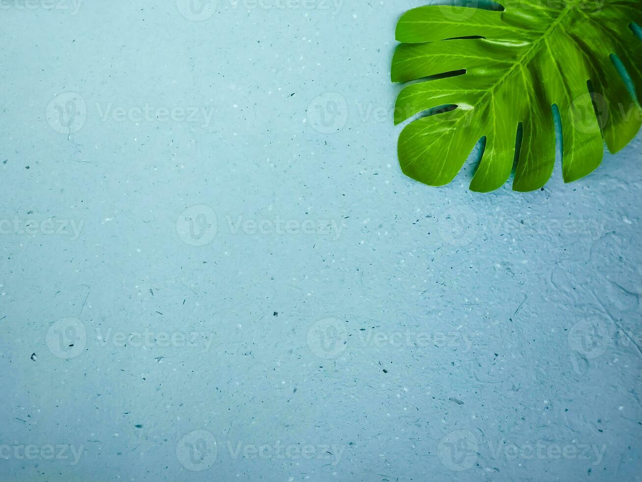 tropical folha em azul fundo com cópia de espaço para texto. foto