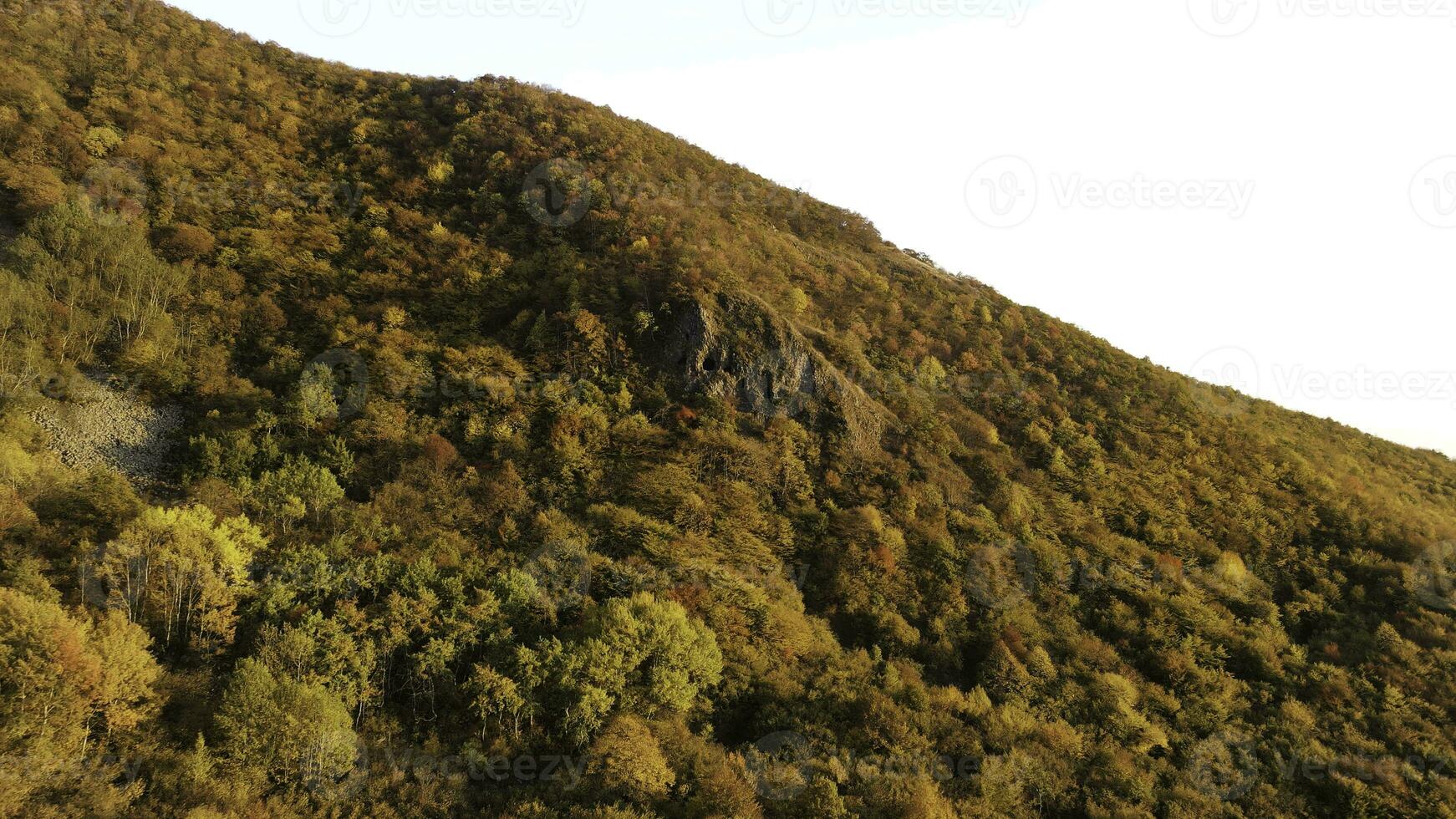 aéreo Visão do colorida madeiras cobertura montanha declive, cair. imagens de vídeo. deslumbrante outono panorama com uma íngreme Colina e brilhante amarelo e laranja árvores dentro pôr do sol. foto