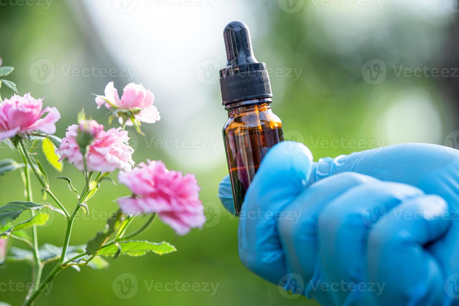 cientistas médico segurando o frasco de planta de óleo de erva rosa para produtos de pele e perfume, dosagem de gotículas, medicina de natureza alternativa de biologia e ecologia. foto